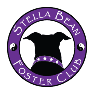 Stella Bean Foster Club Logo